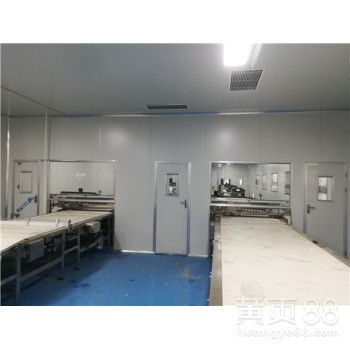 精密凈化車間 食品廠高效生產(chǎn)與現(xiàn)代化網(wǎng)站建設的關鍵